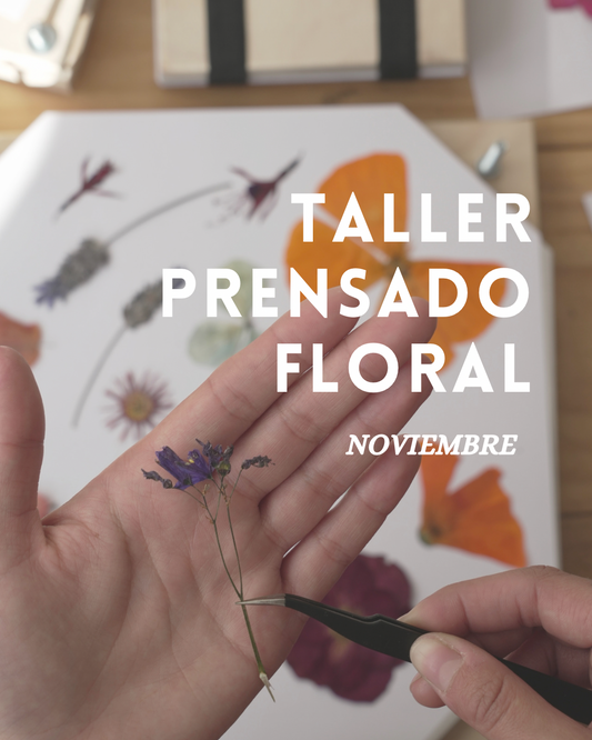 TALLER PRENSADO FLORAL PRESENCIAL - NOVIEMBRE 2022