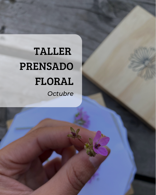 TALLER PRENSADO FLORAL PRESENCIAL - OCTUBRE 2022
